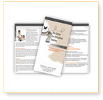 21CenturyWeb :: Brochure Design Sample