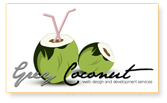 21CenturyWeb :: Logo Design Sample