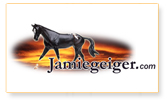 21CenturyWeb :: Logo Design Sample