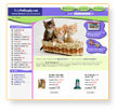 21CenturyWeb :: Website Design Sample