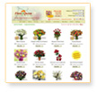 21CenturyWeb :: Website Design Sample
